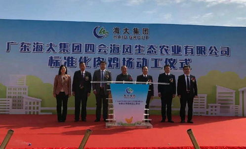 肇庆四会33个项目动工竣工投产,总投资108亿元
