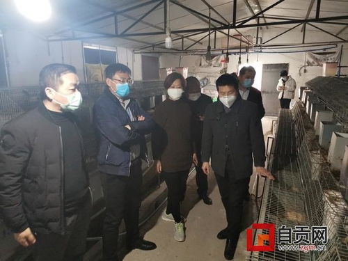 农超对接 产销衔接 市商务局助力农产品销售