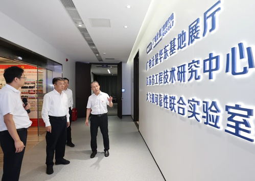发挥平台支撑作用 强化企业主体地位 加快发展以高技术高效能高质量为特征的生产力