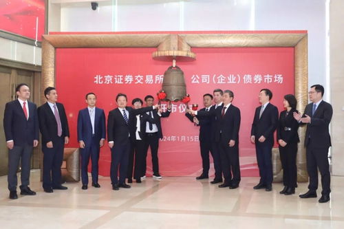 这一债券市场正式开市