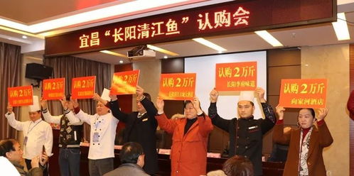 竞技扶持公益 助力清江售鱼 宜昌 长阳清江鱼 烹饪大赛圆满落幕