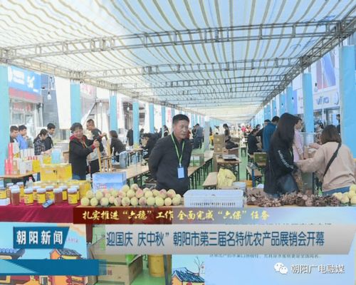 2020迎国庆 庆中秋 朝阳市第三届名特优农产品展销会开幕