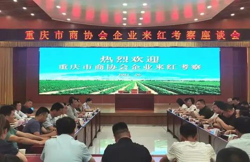 重庆两家商会赴宁夏考察学习 携手共促发展