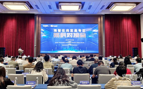 海智在线宜昌专区举办推介会 架桥铸链 对接采供