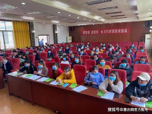 新职业 电商服务站站长 农产品上行 最初一公里 的守望者