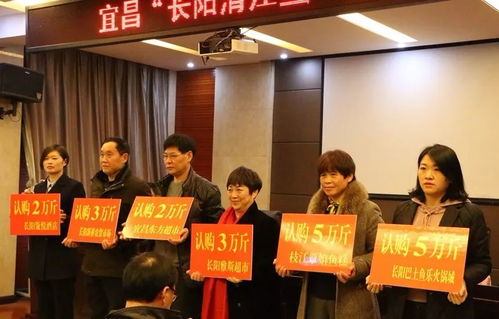 竞技扶持公益 助力清江售鱼 宜昌 长阳清江鱼 烹饪大赛圆满落幕