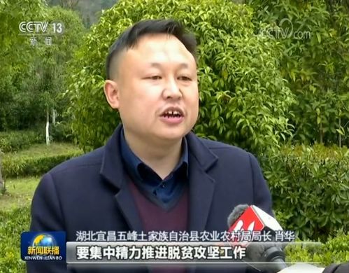 真抓实干拼搏进取 确保取得脱贫攻坚最后胜利