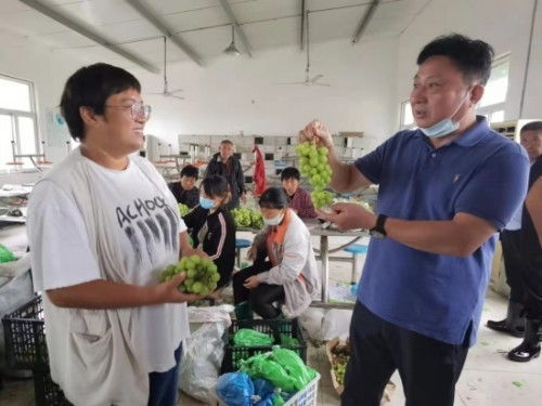 浚县商务局电商下乡助力受灾群众农产品上行