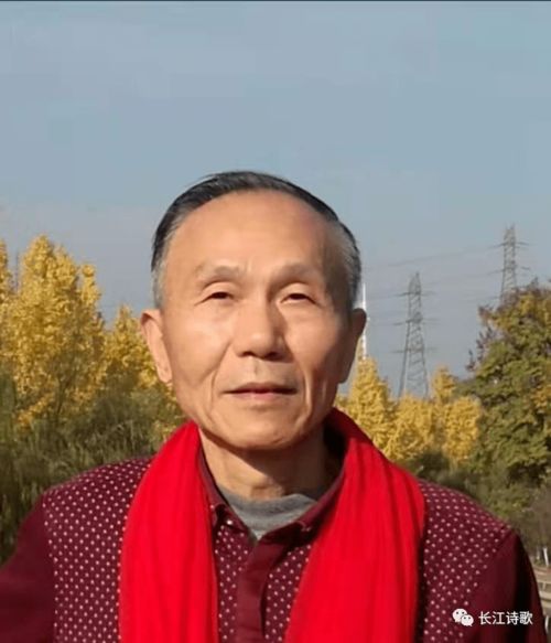 凤凰古韵诗社诗选 胡洪涛的诗