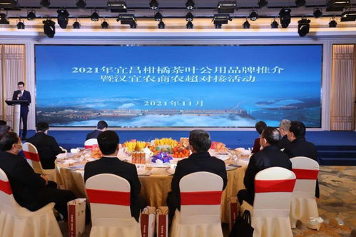 宜昌市今日签约项目总额达30.5亿元,商务局推动经济高质量发展