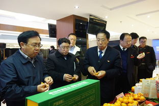 当阳柑橘亮相北京，宜昌优质农产品推介会助力品牌升级