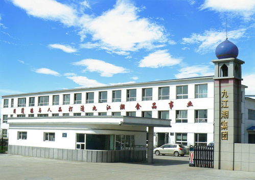 吉林九江潮集团与宜昌市商务局共绘区域经济发展蓝图