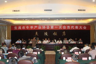 宜昌市牛羊产业协会成立，政企合力共筑精品名牌之路